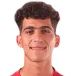ألي هامدي
