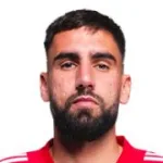 رومين ديل كاستيلو