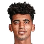 Ahmed Mahmoud