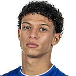 لواي فارها