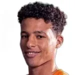 شيفو