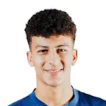 ألي ماهمود