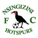 Nsingizini Hotspurs