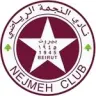 النيجميه